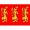 Военный флаг английских королей династии Платагенет